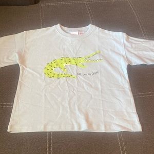 Zara Toddler T-Shirt with print on front